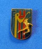 Insigna - FEDERATIA de HANDBAL din ROMANIA