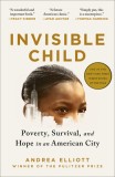 Invisible Child: Poverty, Survival, and Hope in an American City