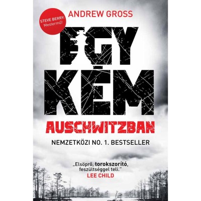 Egy k&amp;eacute;m Auschwitzban - Andrew Gross foto