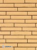 Coltar klinker Terca Archipolis Vegas Geel, 24x4x2.3 cm