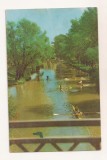 RF214 - Carte Postala - Timisoara. Canotaj pe Bega, circulata 1962