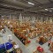 depozite amazon germ