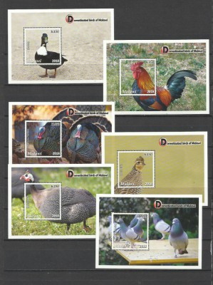 MALAWI 2018 FAUNA PASARI DOMESTICE - COLITE DE LUXE TIRAJ LIMITAT 100 SETURI foto