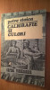 Petre Stoica - Caligrafie si culori (Editura Cartea Romaneasca, 1984)