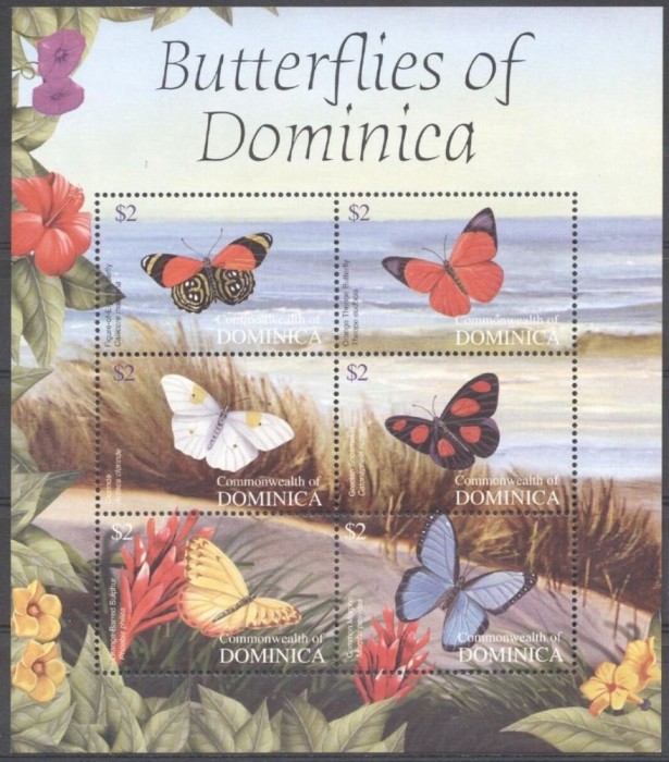 DOMINICA 2004 FAUNA INSECTE FLUTURI