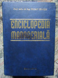 Iulian Ceausu - Enciclopedia manageriala