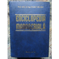 Iulian Ceausu - Enciclopedia manageriala