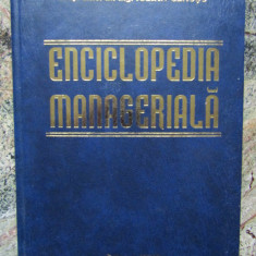 Iulian Ceausu - Enciclopedia manageriala