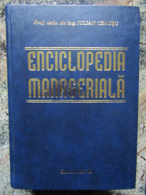 Iulian Ceausu - Enciclopedia manageriala foto