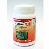 LUCERNA 40cps FAVISAN