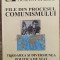 File din procesul comunismului - Traian Popescu