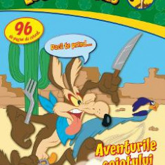 Looney Tunes - Aventurile coiotului Wile E. - Supercarte de colorat