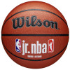 Mingi de baschet Wilson Jr NBA Fam Logo In/Out Ball WZ2009801XB portocale