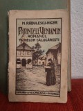 N. Rădulescu-Niger - Părintele Veniamin. Romanul tainelor călugărești