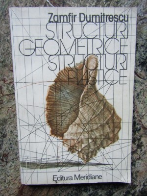STRUCTURI GEOMETRICE , STRUCTURI PLASTICE - ZAMFIR DUMITRESCU foto