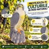 Sperietoare Pasari Rozatoare Soim, 40cm, ProCart - Protectie Gradina, Terasa, Balcon - Antidaunatori