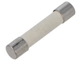 Siguranţă ardere rapidă 10A 250VAC 125VDC 6,3x32mm EATON/BUSSMANN