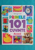 Primele 101 cuvinte Acasa ( carte pentru copii )