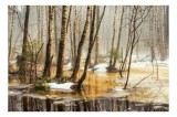 Tablou Canvas, "Pădure &icirc;n lumina dimineții cețoase", Copaci, Pădure, Apă, Reflecții, Ceață, Iarnă, Zăpadă, Natură, Lumină, Trunchiuri, 39 x 26 cm, CMC
