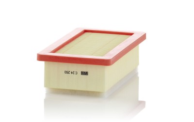 MANN-FILTER C 24 250 Filtru aer foto