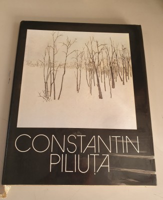 Peisajele Amintirii - Constantin Piliuta - album foto
