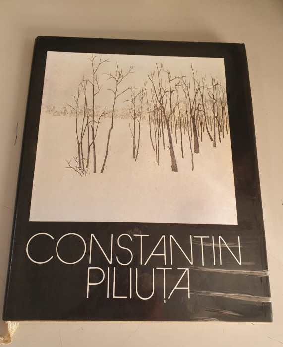 Peisajele Amintirii - Constantin Piliuta - album