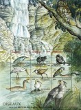 R.CENTRAFRICA -PASARI DIN AFRICA -1 M/SH.-MNH** - R CAF 166, Fauna