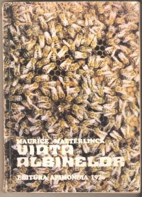 Viata Albinelor foto
