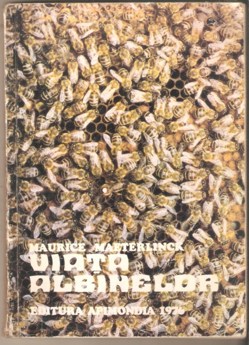 Viata Albinelor