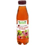 Sirop de muguri de brad, echinacea si propolis, 500ml, Plafar