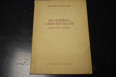 Ingrijirea arboretelor - indrumari tehnice (1956) foto