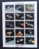 YEMEN K. - Program APOLLO-1coala a15 v.cu inscris Argintiu-dant.-MNH**.- YK 066C, Asia, Fauna