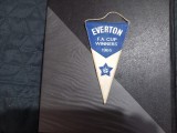 Fanion Everton