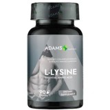 L-LYSINE 500MG 90CPS