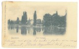 4134 - BUCURESTI, Cismigiu Park, Litho, Romania - old postcard - used - 1901