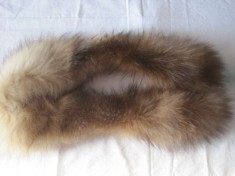 VULPE POLARA ESARFA foto