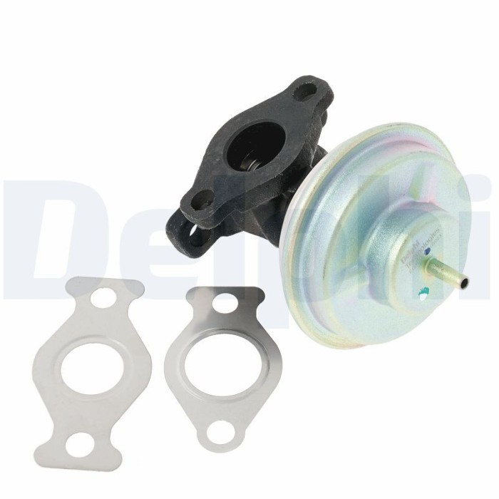 DELPHI EG10517-12B1 Supapa EGR