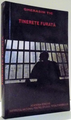 TINERETE FURATA de GHERASIM TIC , 2010 foto