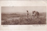 Verona. Frumoasa Moldova (circulata 1910)