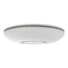 CAP, 1 x LAN, 802.11b/g/n 2.4Ghz, antena 2dBi, PoE - MikroTik RBcAP2nD SafetyGuard Surveillance
