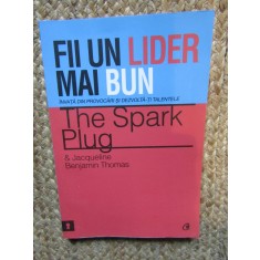 FII UN LIDER MAI BUN , INVATA DIN PROVOCARI SI DEZVOLTA-TI TALENTELE de THE SPARK PLUG SI JACQUELINE BENJAMIN THOMAS