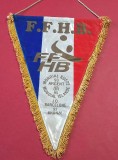 Fanion - Federatia de HANDBAL din FRANTA (J.O. Barcelona 92 &ndash; BRONZ;Mondial Suedia 93 &ndash; ARGINT;Mondial ISLANDA-Aur)