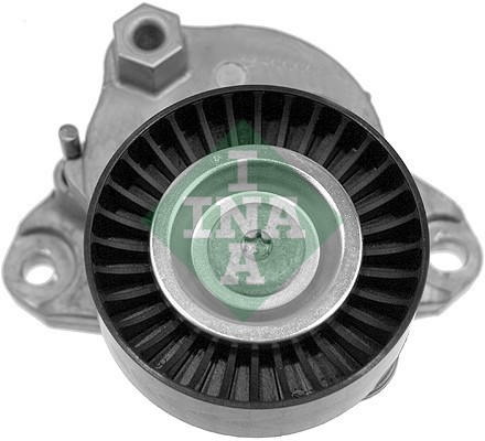 INA 534 0067 10 Intinzator curea, curea distributie