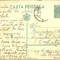 AX 239 CP VECHE- STANCIULESCU STEFAN ELEV TTR-REG. 13 ARTILERIE, CONSTANTA -1935