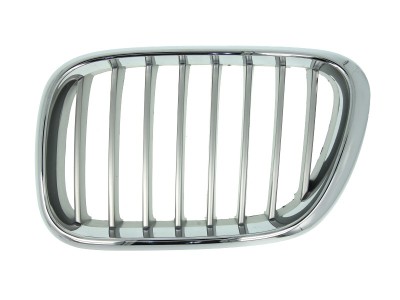 Grila radiator BMW X5 (E53) (2000 - 2006) BLIC 6502-07-0095991P foto