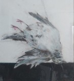 ZBOR INVERS, Manuell Mănăstireanu