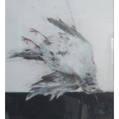 ZBOR INVERS, Manuell Mănăstireanu