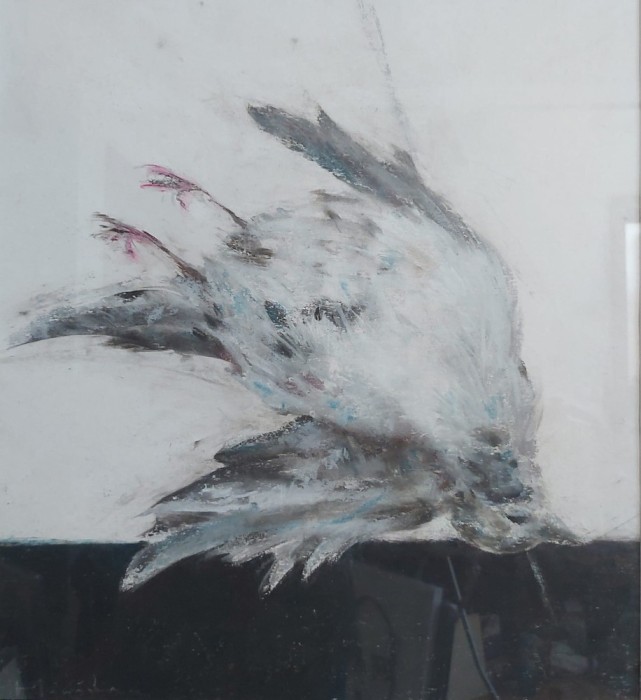 ZBOR INVERS, Manuell Mănăstireanu