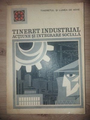 Tineret industrial-Actiune si integrare sociala Ovidiu Badina foto