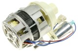 Pompă Circulație Apă 278049000051 Galanz - Mașină de Spălat Vase Compatibilă